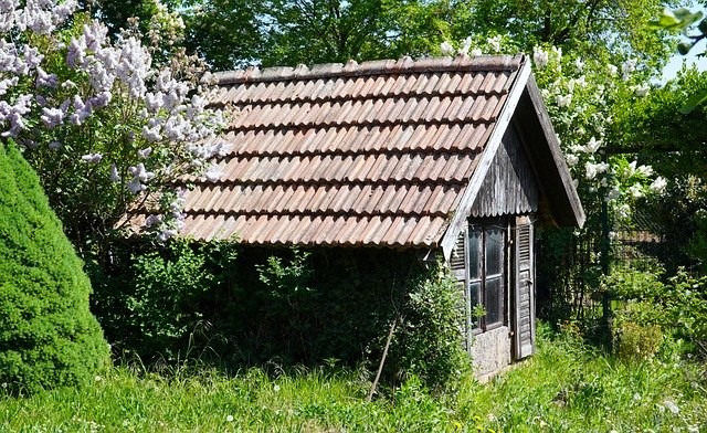 Home Room Shed