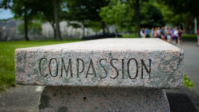 The Willpower Instinct Summary Compassion