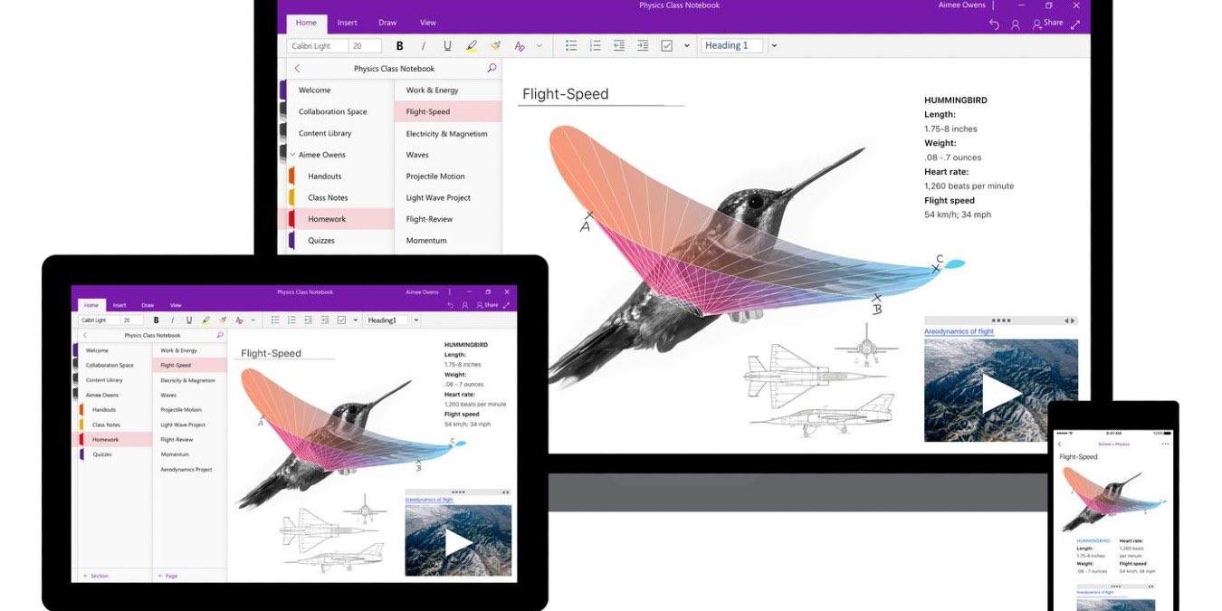 how to use onenote to organize your work