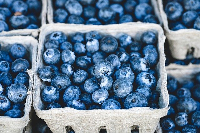 Food To Increase Productivity Blueberries